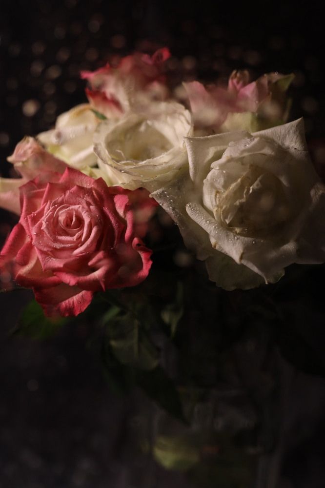 Photograph by Elena Kresova