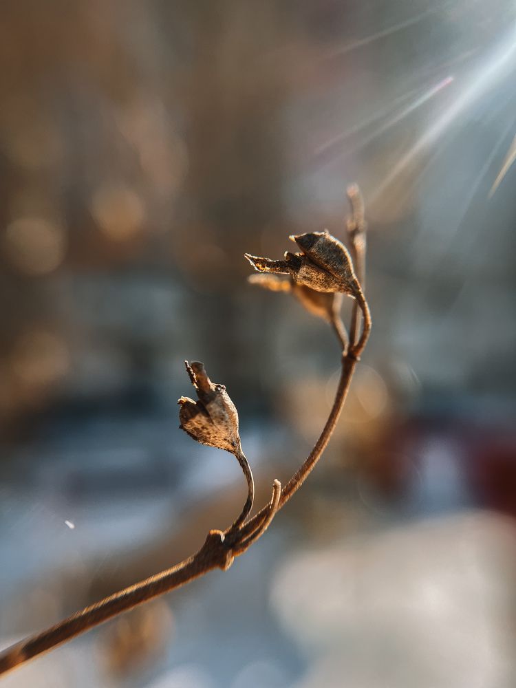 Photograph by Анастасия