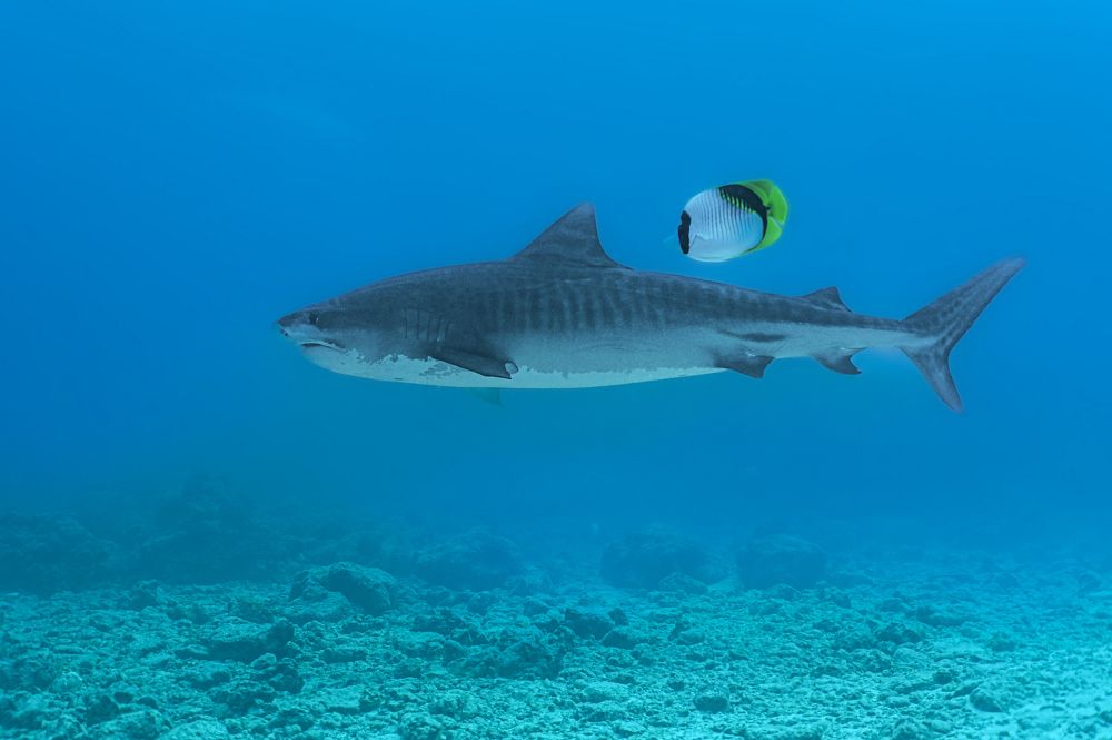 Photograph by Валерий Одинцов