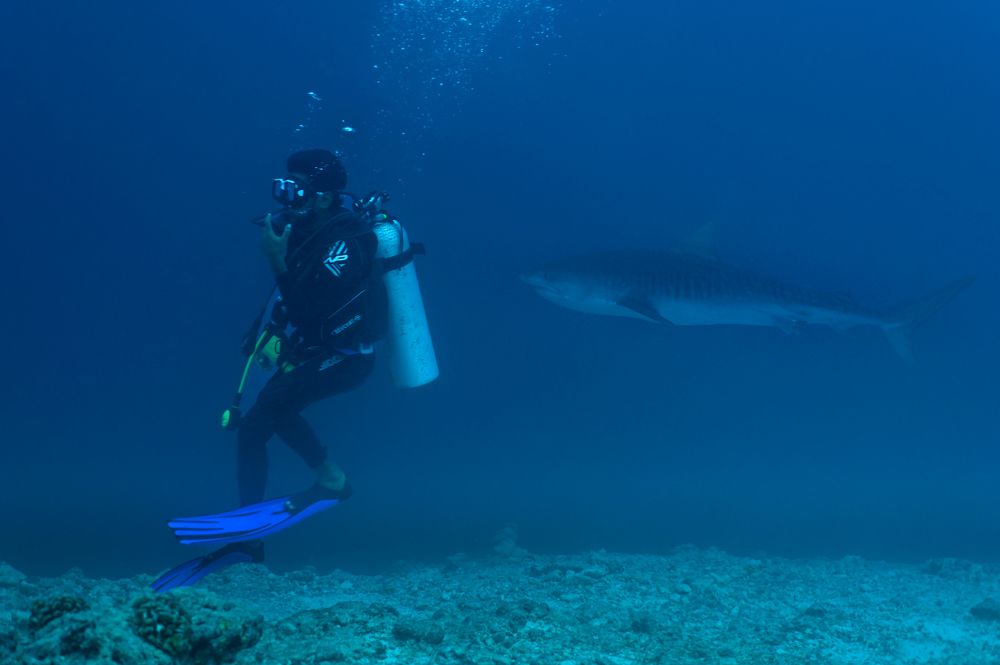 Photograph by Валерий Одинцов