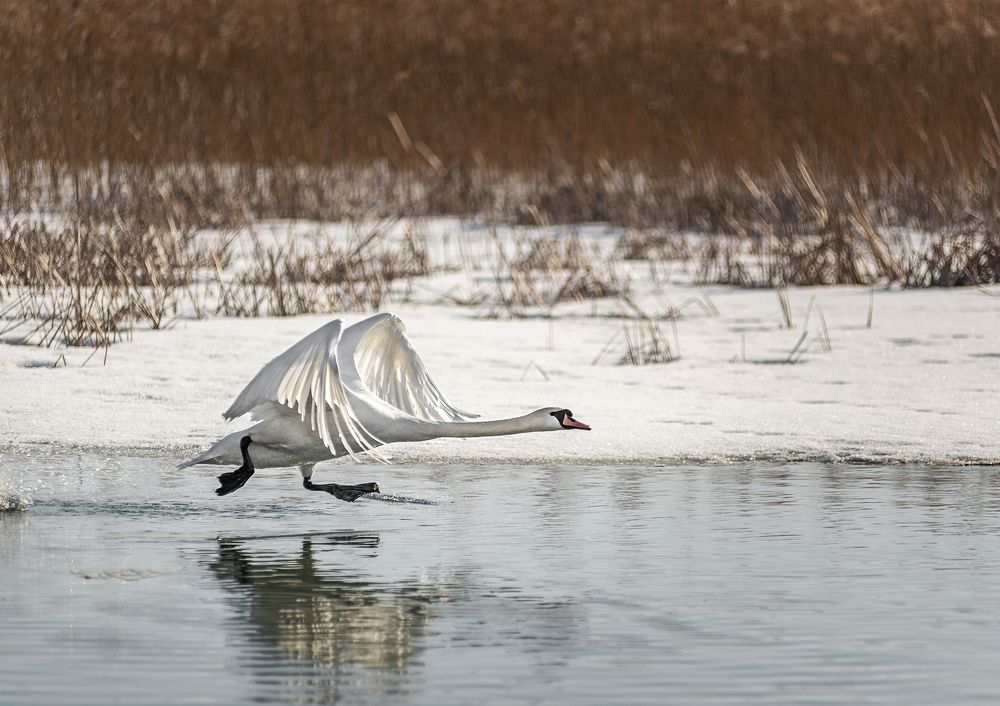 Photograph by Сергей Степанов