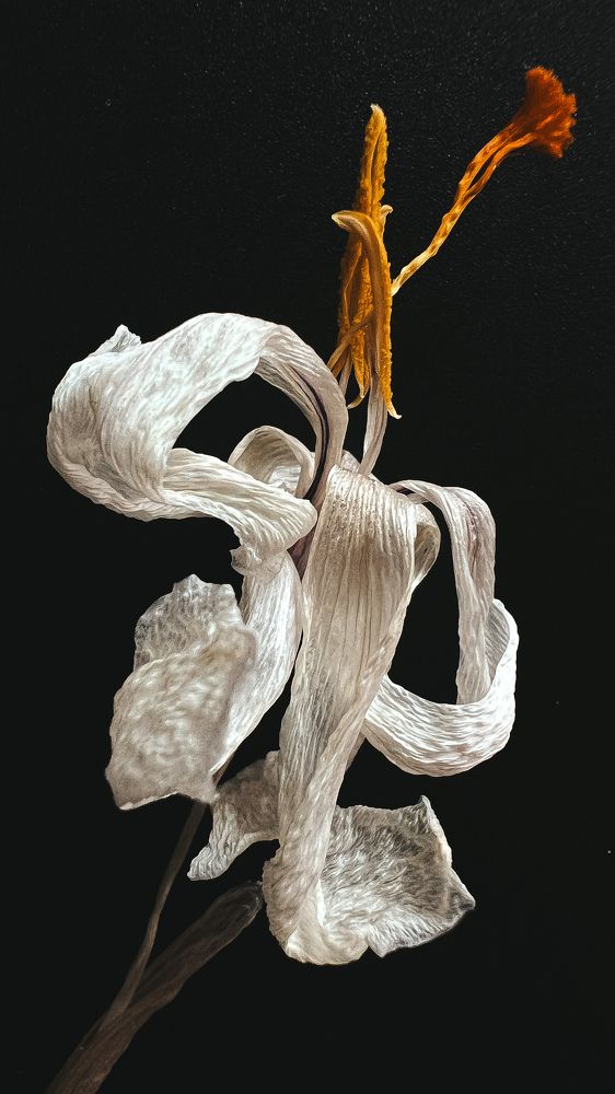 Photograph by Татьяна Михайлова