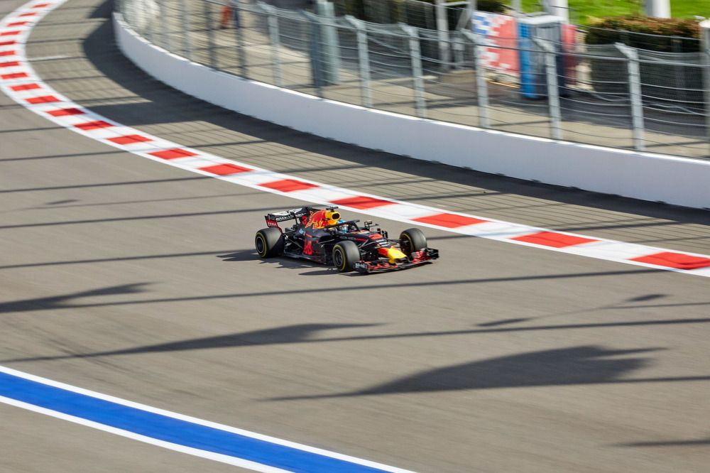 Фотография автора Totoro D