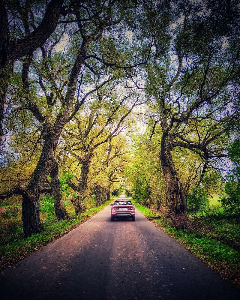 Photograph by Ольга Позняк