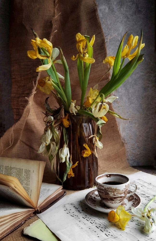 Фотография автора Victoria Vaigant