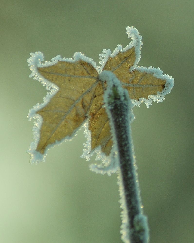 Photograph by Николай Леухин