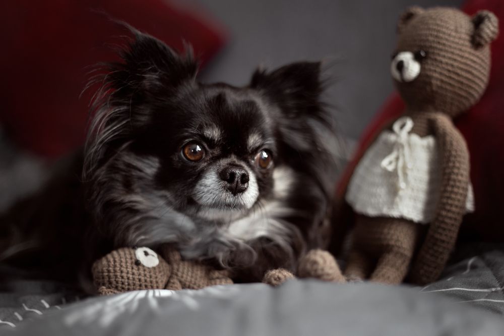 Photograph by Руслана Валеева