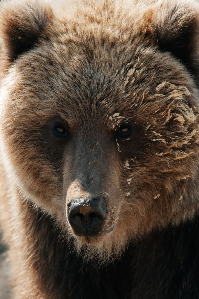 Photograph by Людмила Москвичёва