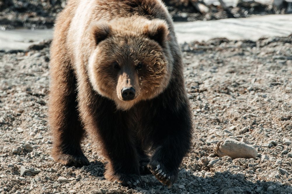 Photograph by Людмила Москвичёва