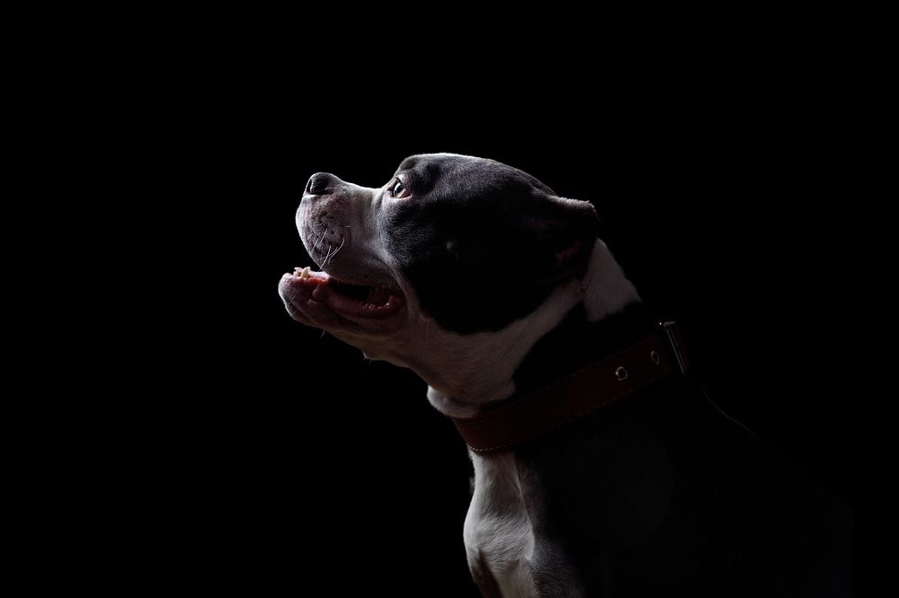 Photograph by Руслана Валеева