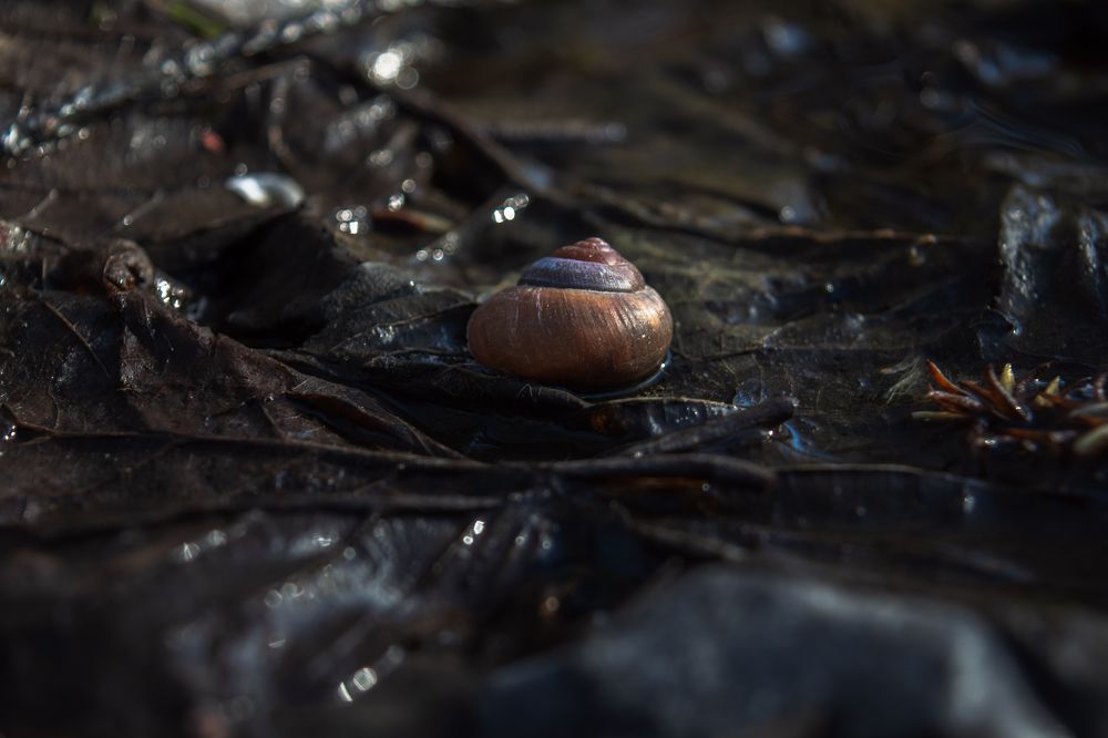 Photograph by Владислав Циклинский