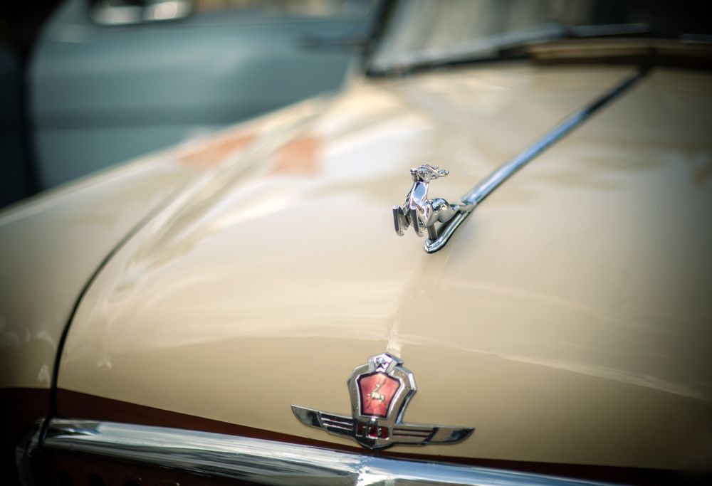 Фотография автора ANNA TIHOMIROVA