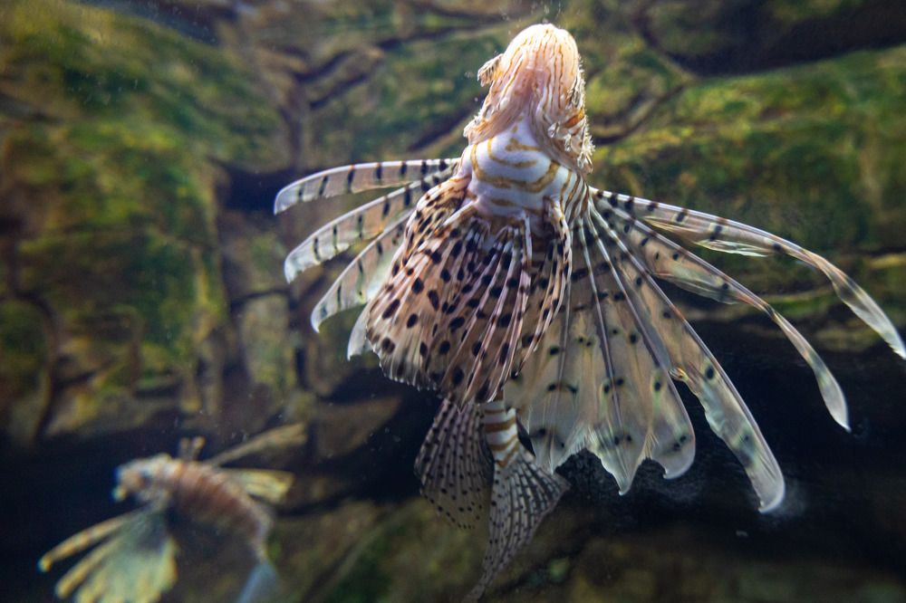 Photograph by Антон Скоморохов