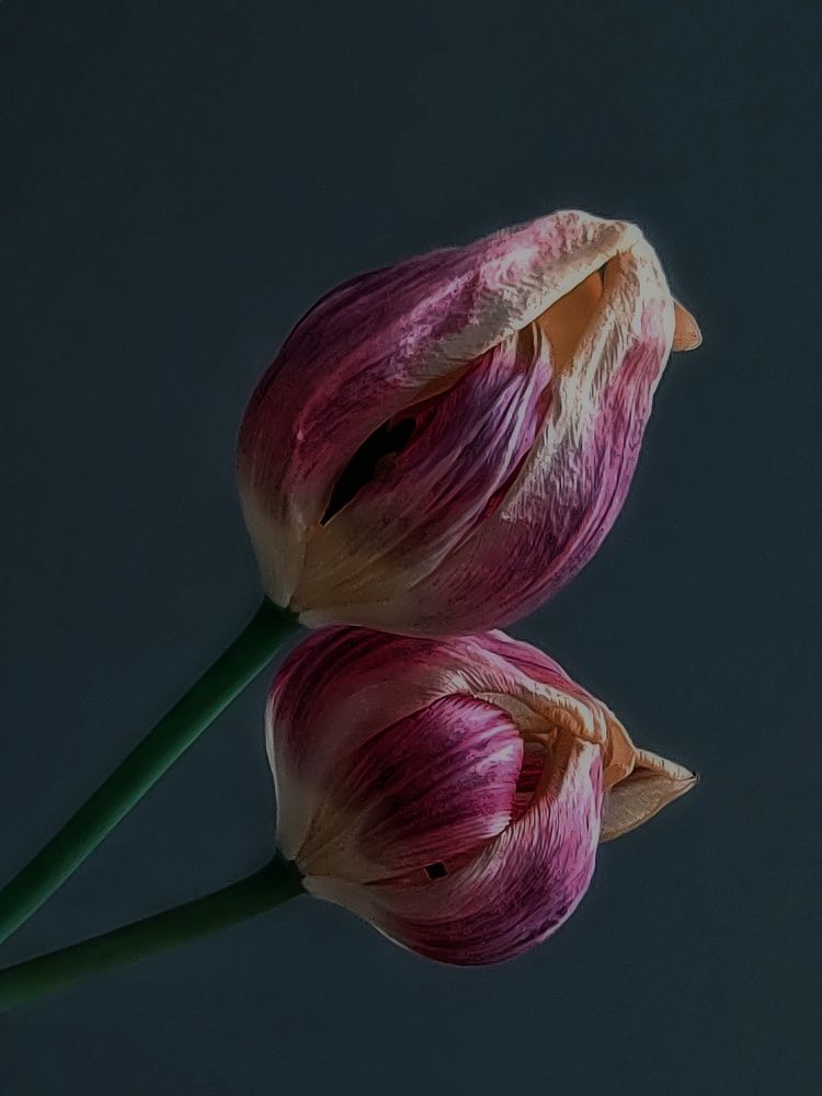 Photograph by Наталья Веряскина