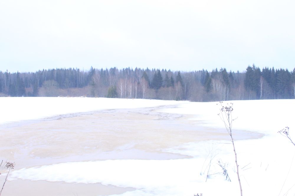 Photograph by Александр Макаренко