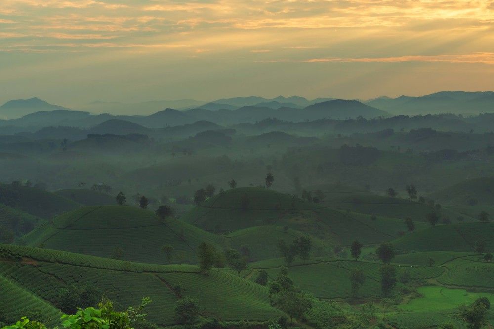Photograph by Tùng Nguyễn