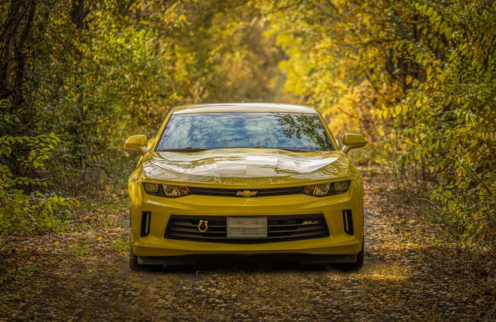 Photograph by Игорь Квочка