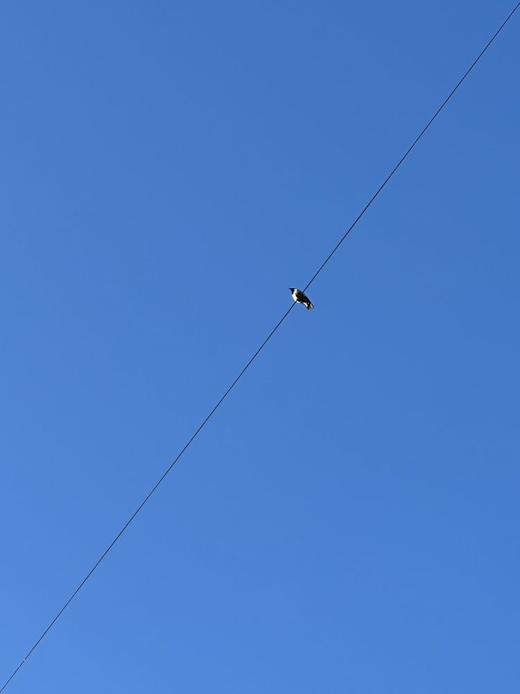 Photograph by Ольга Галкина