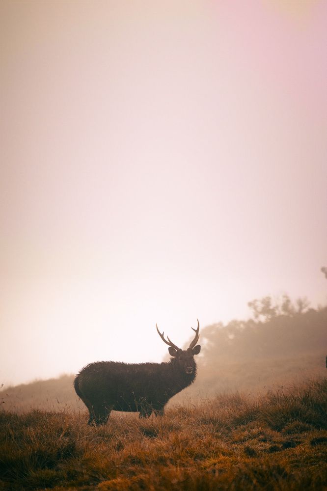 Photograph by Yazir Zubair