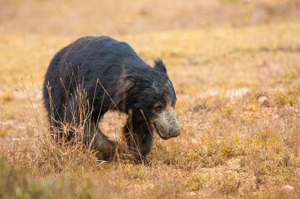 Photograph by Yazir Zubair