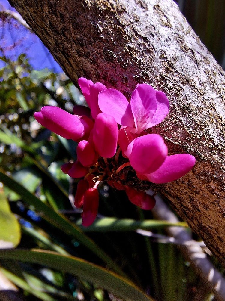 Photograph by Igor Chechin