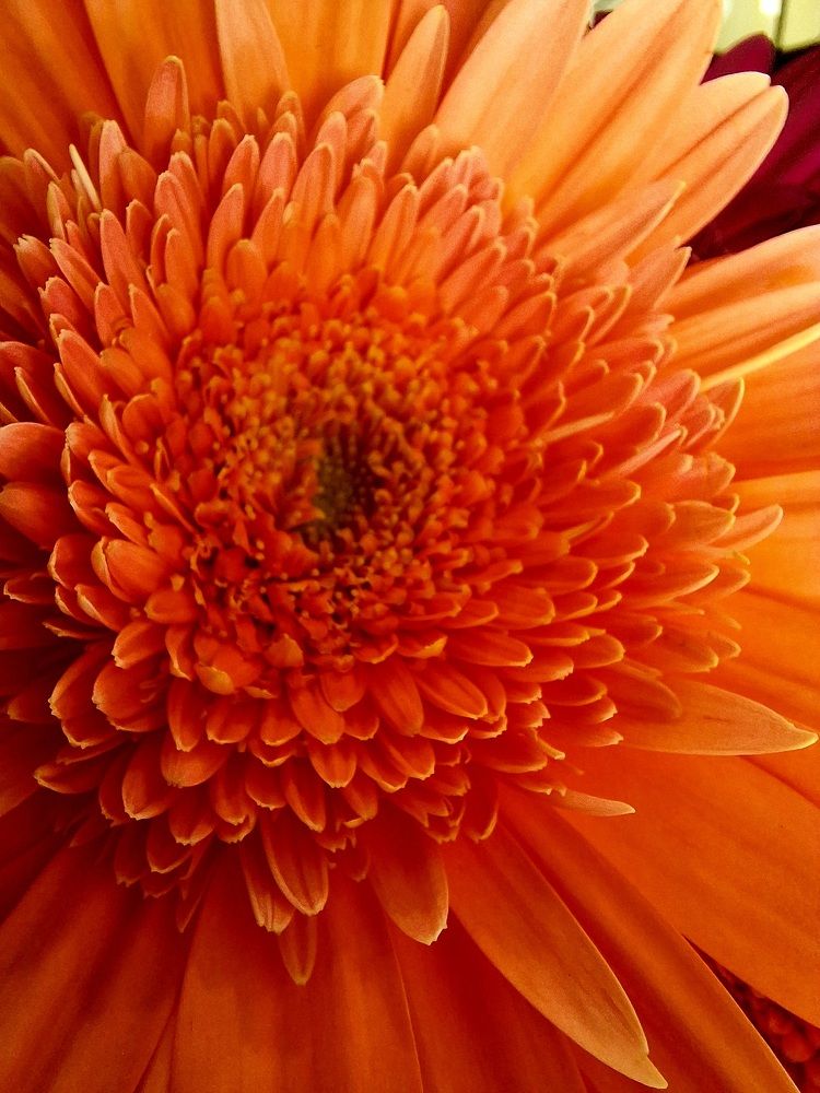 Photograph by Igor Chechin