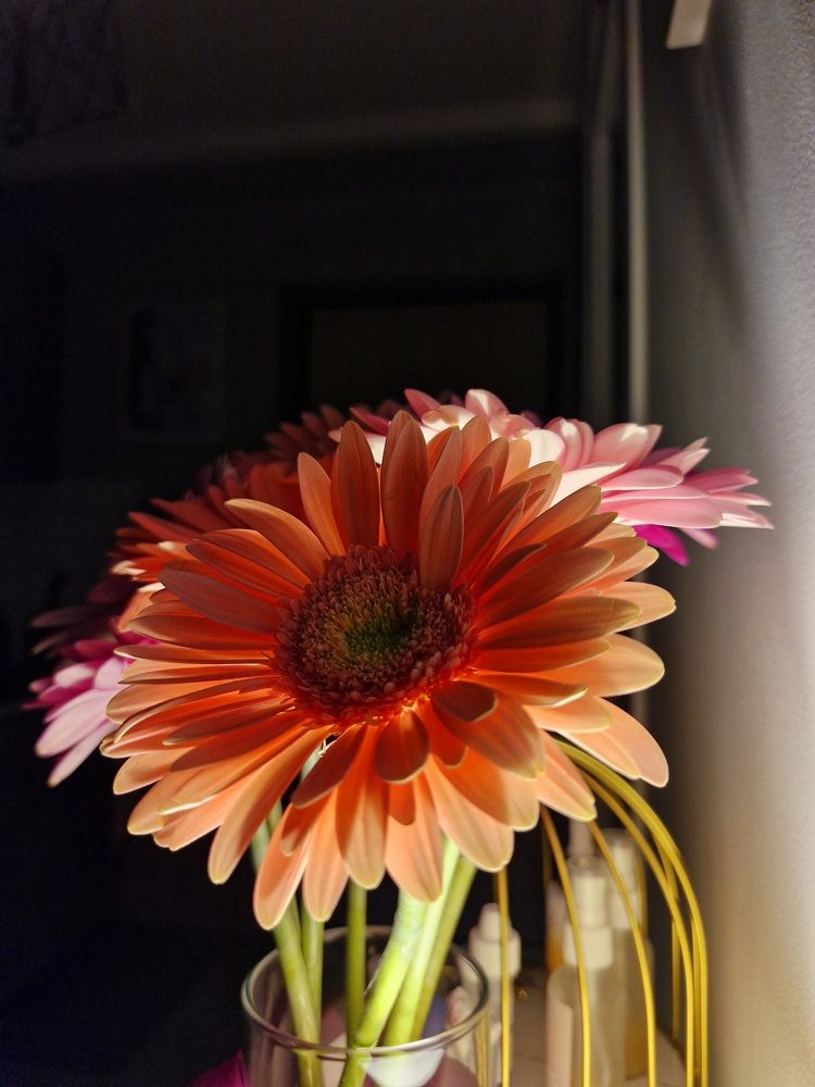 Photograph by Igor Chechin