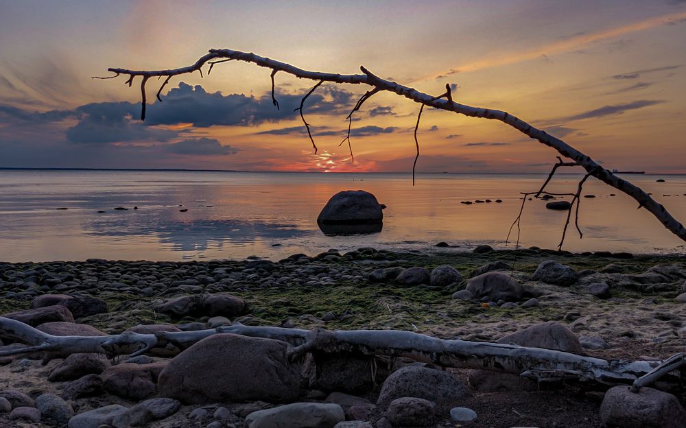 Фотография автора Швайко Михаил