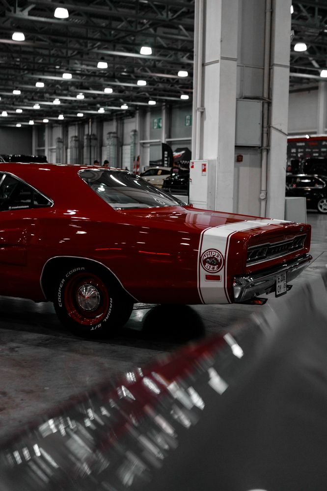 Фотография автора Алексей Сафаров