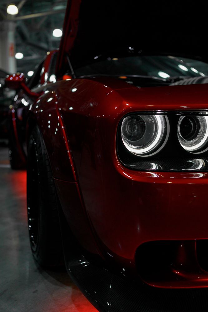 Фотография автора Алексей Сафаров