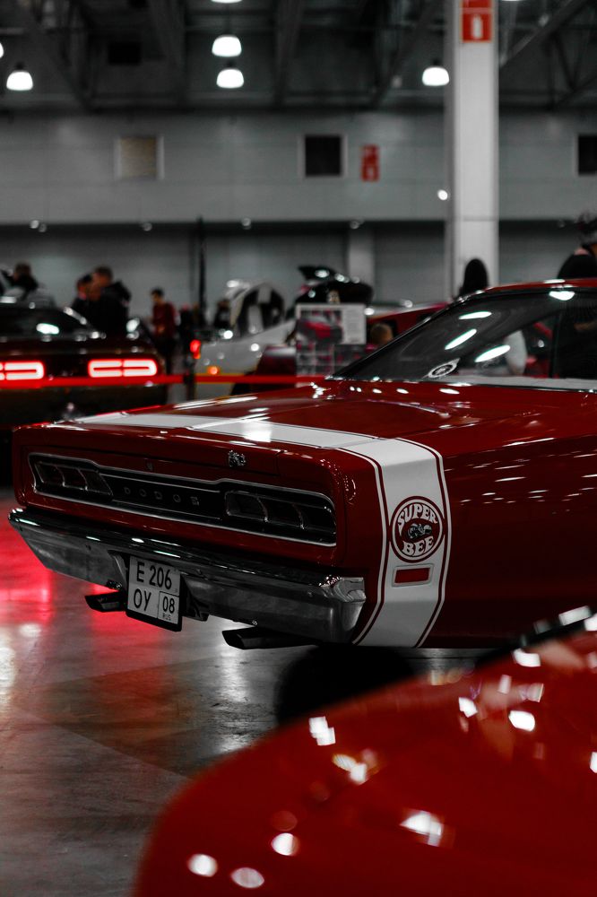 Фотография автора Алексей Сафаров