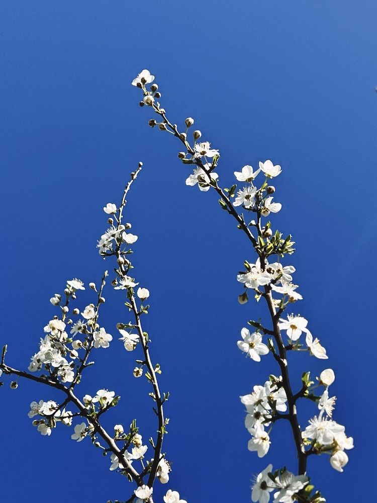 Photograph by Елена Громова