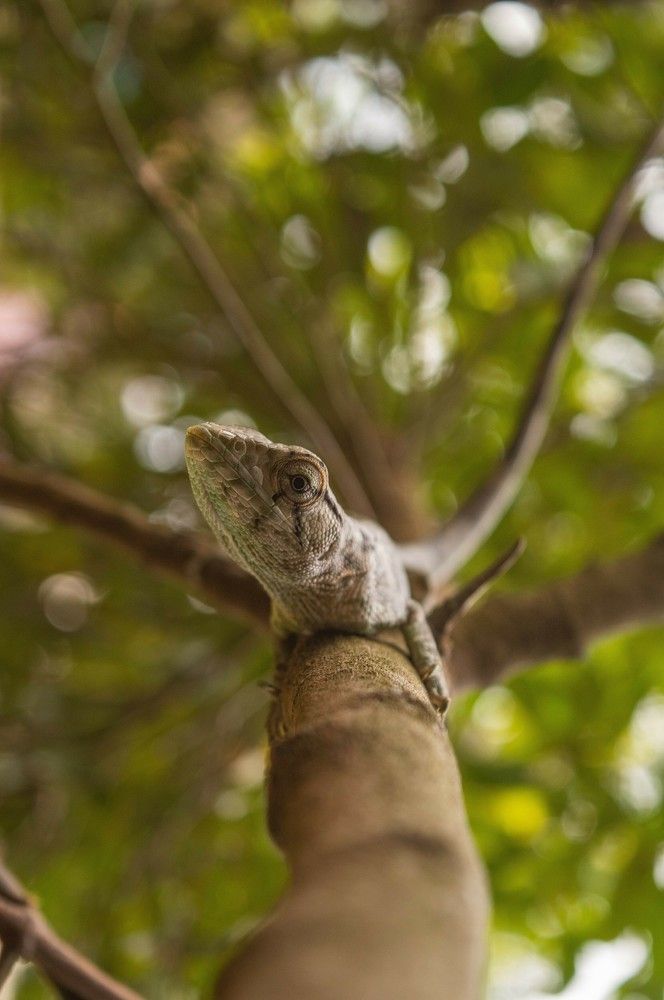 Photograph by Lucas Rimis