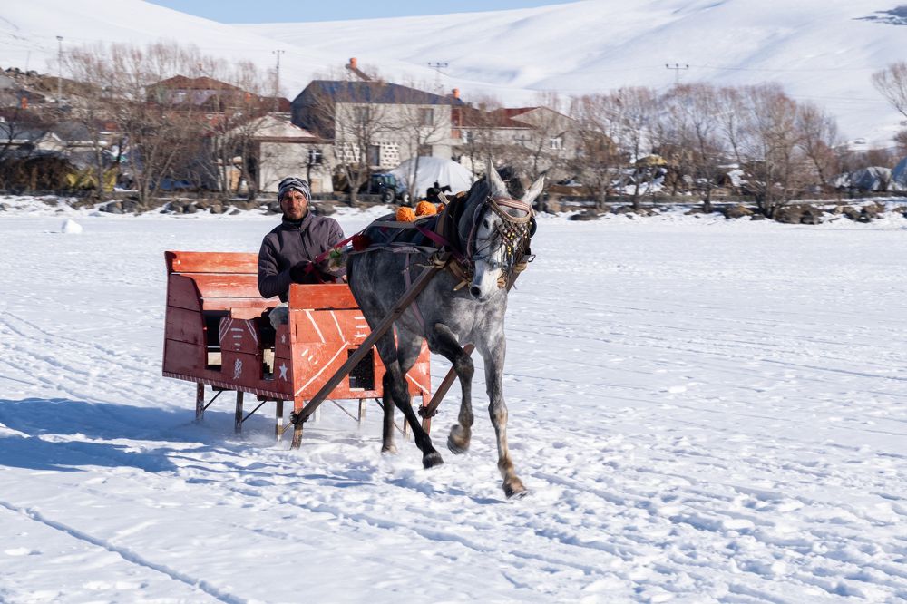 Photograph by İNCİ KOYUNCU