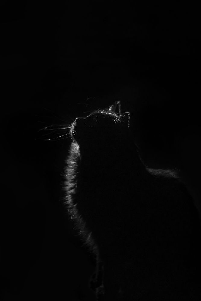 Фотография автора Anastasia Struna