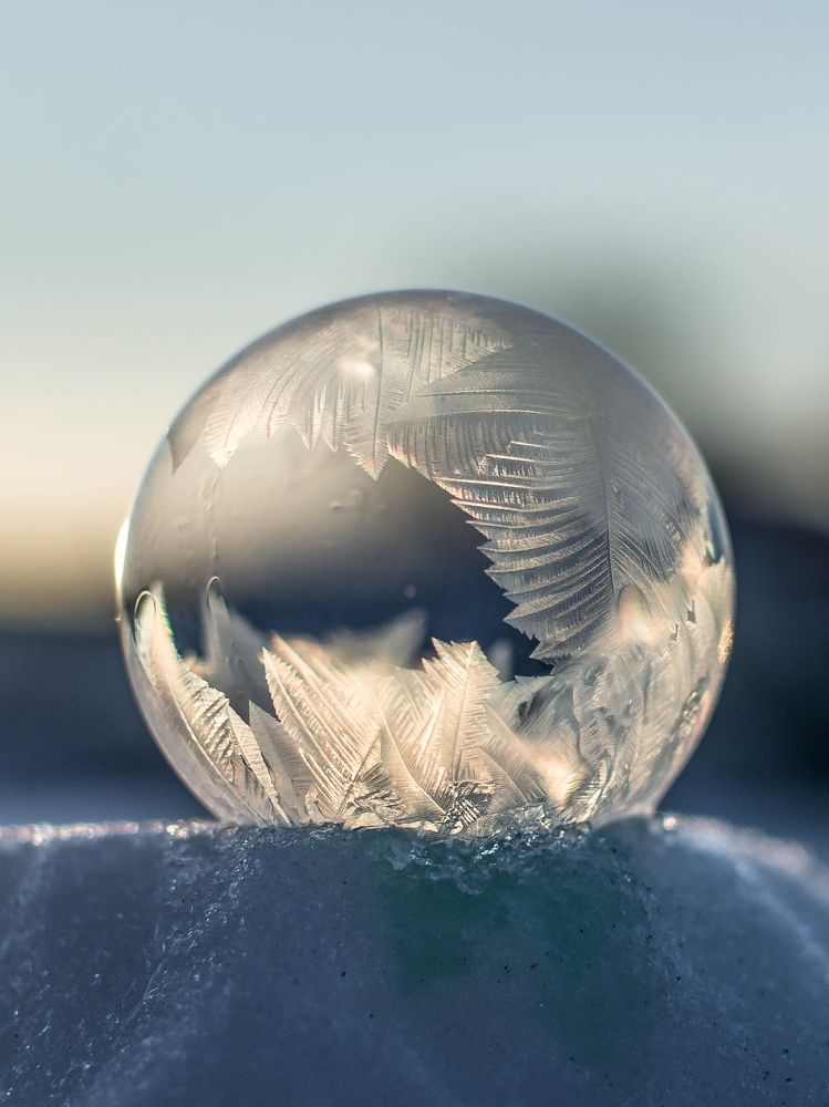 Photograph by Людмила Прибылова