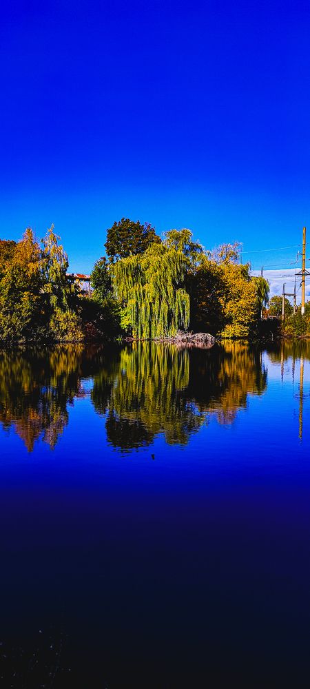 Photograph by Ольга