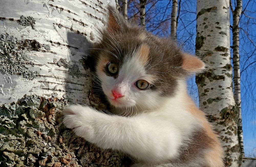 Photograph by Виктор Решетников