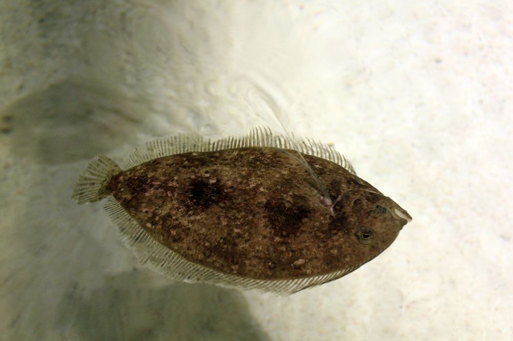 Photograph by Olga Bagaeva