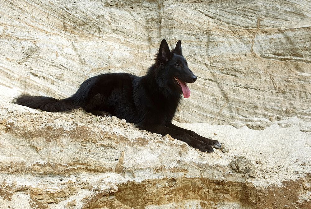 Фотография автора Надежда Лисицына