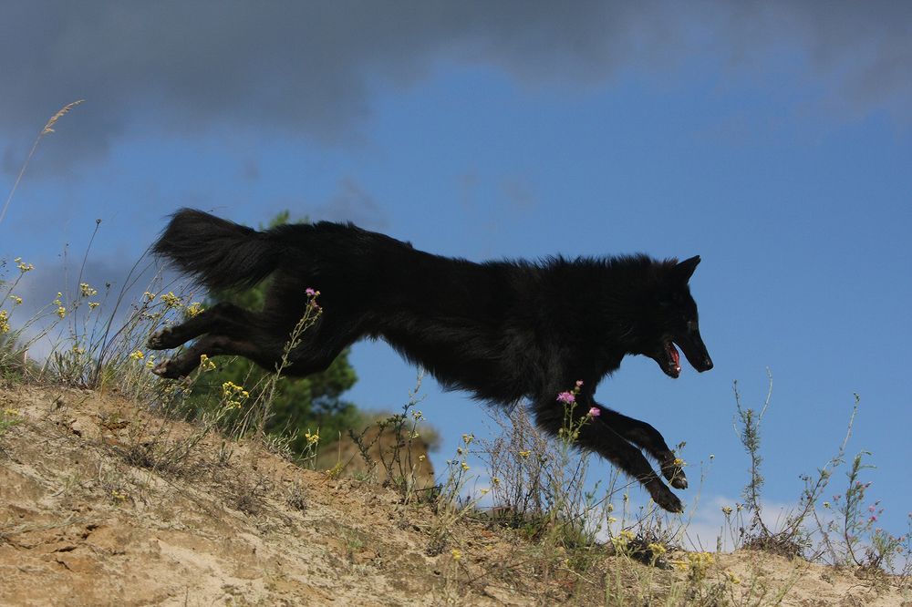 Фотография автора Надежда Лисицына