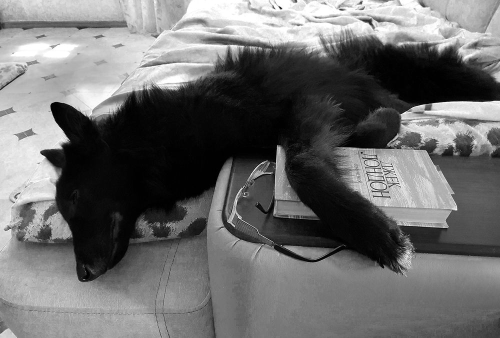 Почитал перед сном.