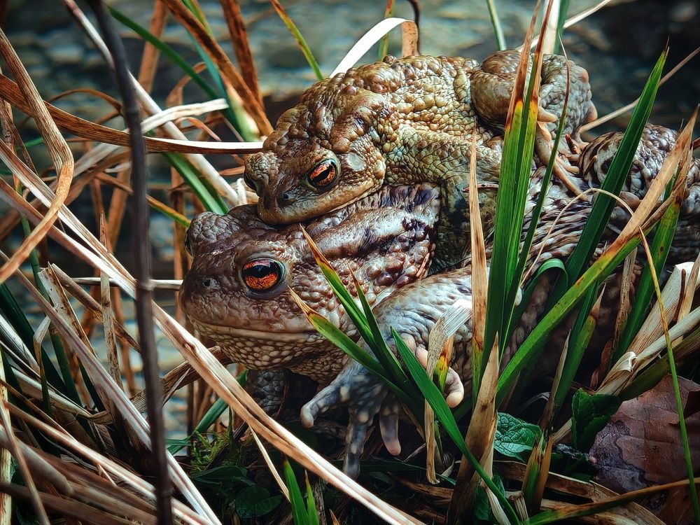 Фотография автора Andraz