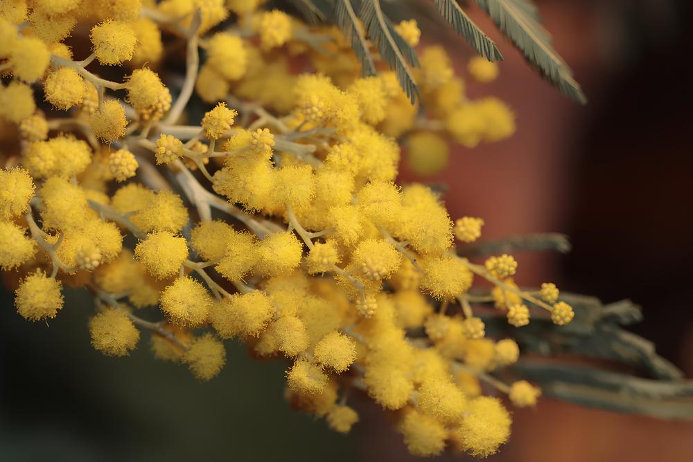 Photograph by Светлана Соколова