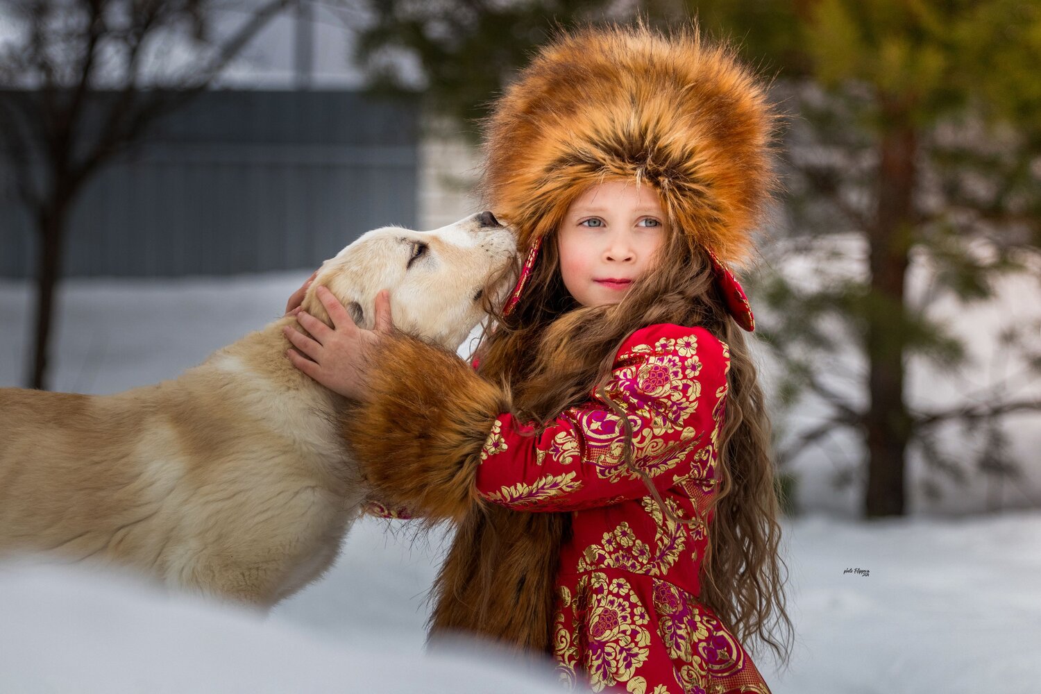 Photo #10498898