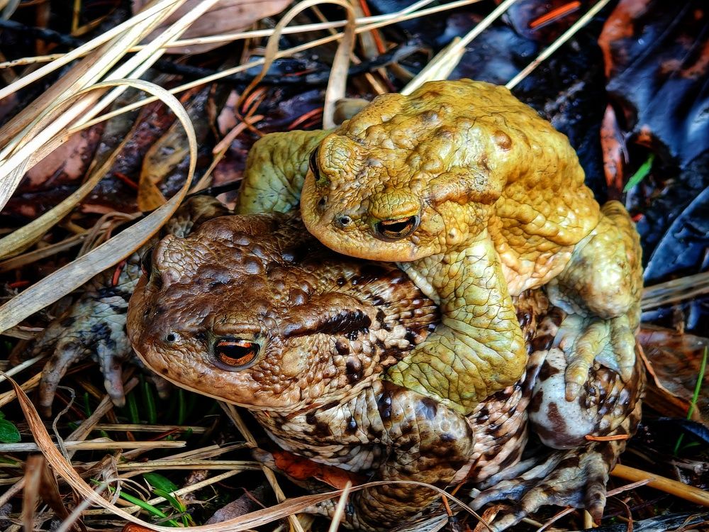 Фотография автора Andraz