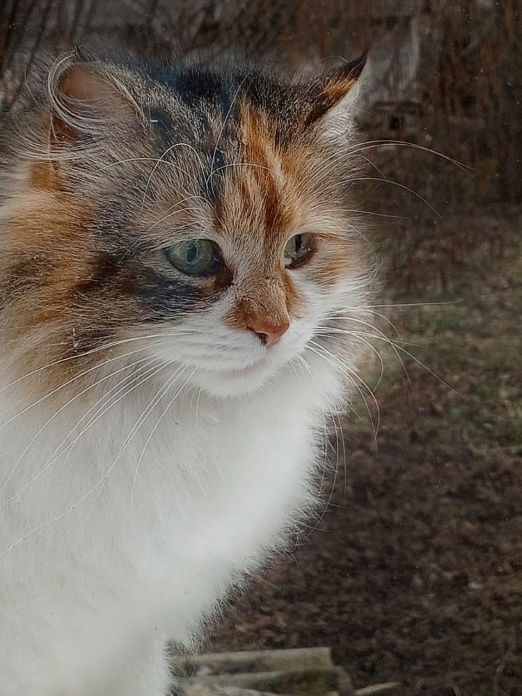 Грустные глаза