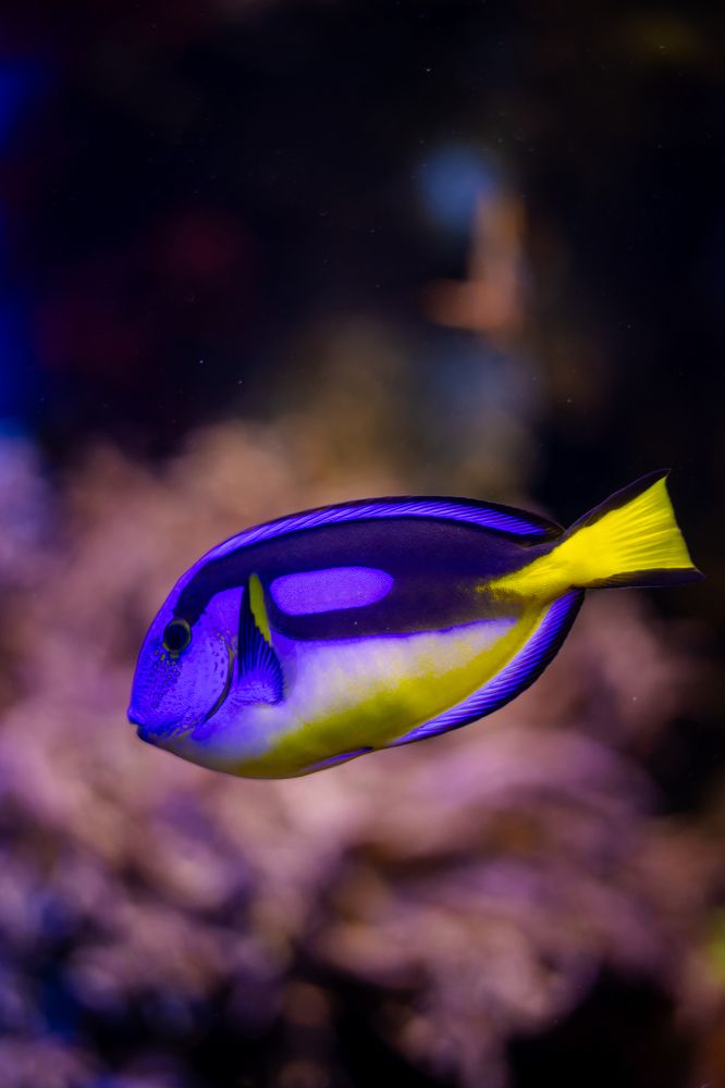 Photograph by Кемеров Игорь