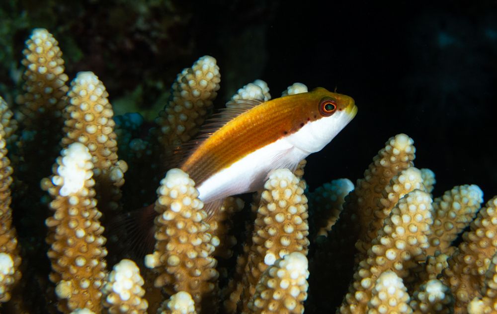 Photograph by Amr Kadry