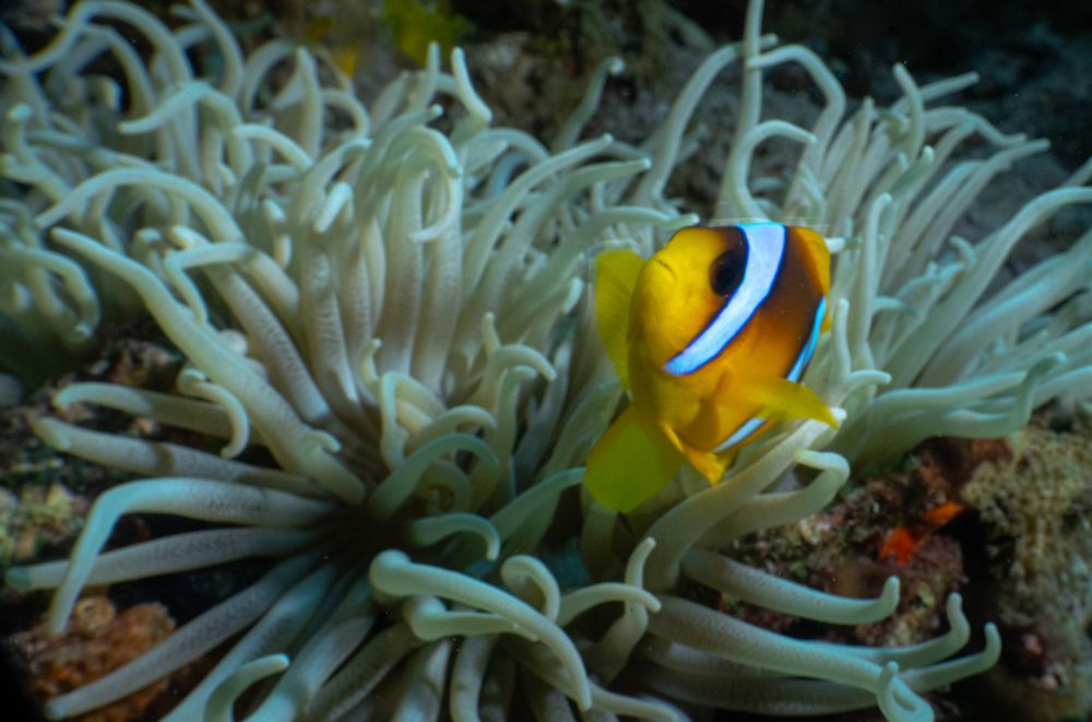 Photograph by Amr Kadry